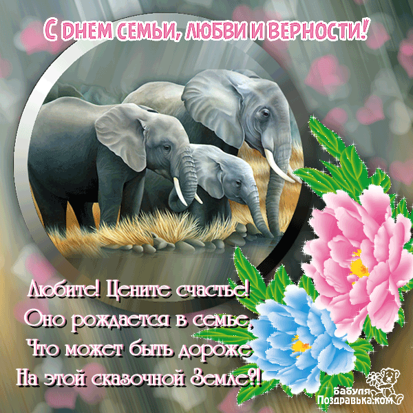 Открытка День семьи, любви и верности - Семья, любовь и счастье: Красивая открытка с цветами | Красивая открытка #32