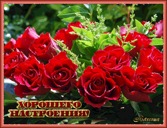 Открытка Открытки хорошего настроения - Букет красных роз: открытка с поздравлением | Красивая открытка #200