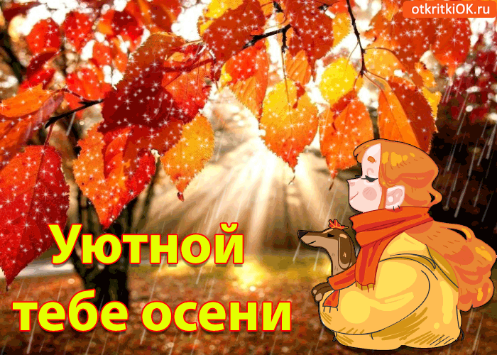 Открытка Открытки Золотая Осень  - Открытка с лисой и осенними листьями | Красивая открытка #62