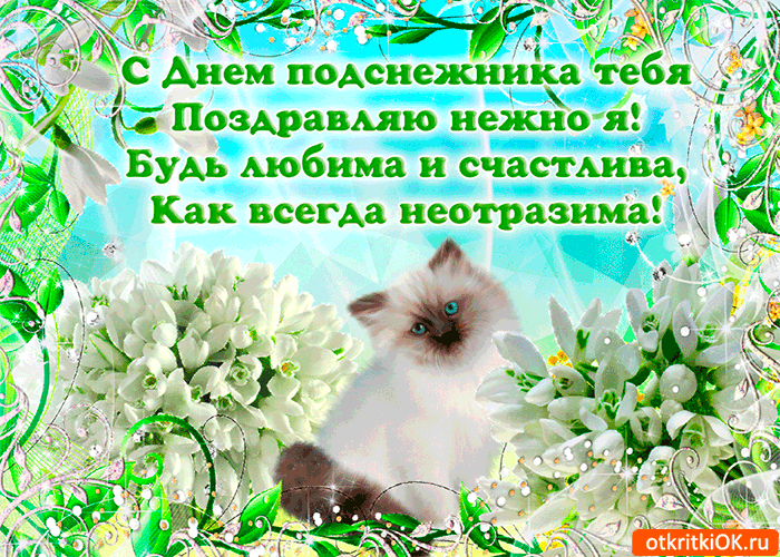 Открытка С днём подснежника - Открытка с котенком и цветами | Красивая открытка #34