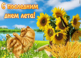 Открытка С последним днем лета! - Открытка с котенком и подсолнухами | Красивая открытка #34