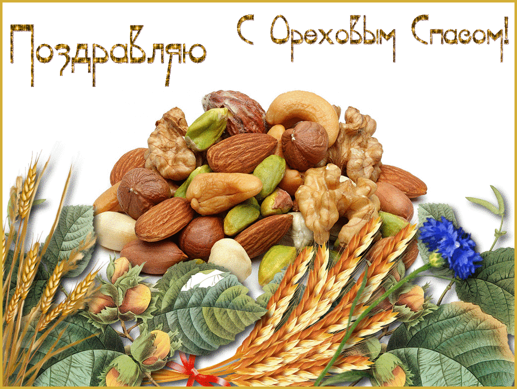 Открытка Ореховый спас - Орехи и колосья: праздничная открытка с пожеланиями  С днем! | Красивая открытка #175