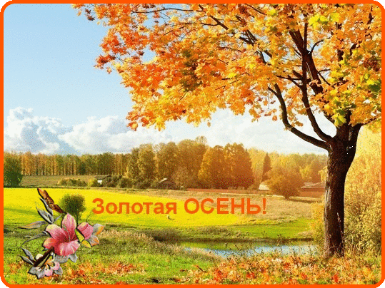 Открытка Открытки Золотая Осень  - Золотая осень: открытка с видом на реку и лес | Красивая открытка #88