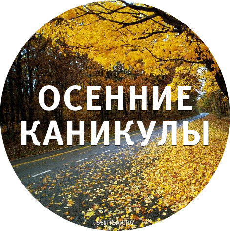 Открытка открытки с осенними каникулами  - Осенние листья: открытки с желтыми деревьями | Красивая открытка #11