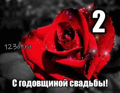 Открытка Открытки на Бумажную свадьбу 2 года - Красная роза, поздравительная открытка | Красивая открытка #14