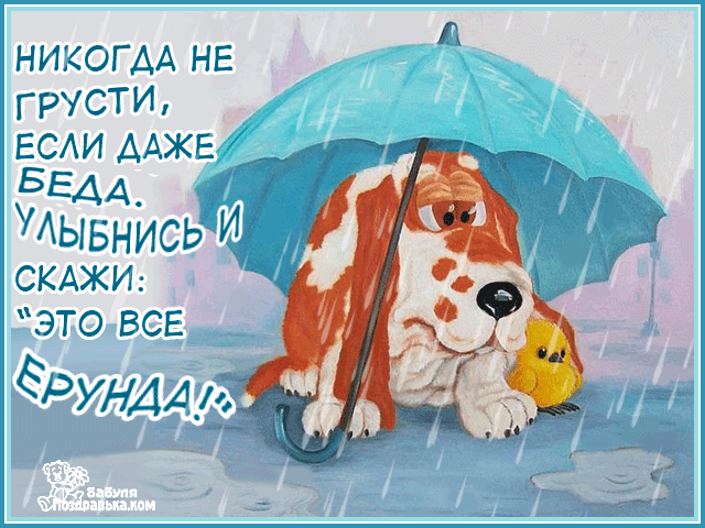Открытка Не грусти - Грустный щенок под дождём: открытка с пёсиком | Красивая открытка #29