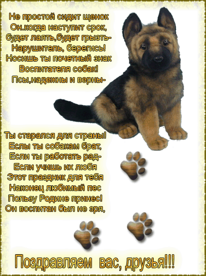 Открытка Открытки с днем кинолога - Открытка с щенком: поздравления для друзей | Красивая открытка #11