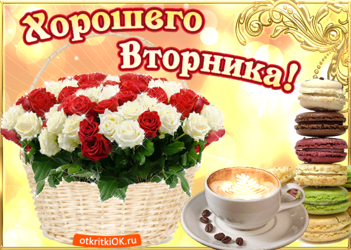 Открытка Открытки на вторник - Открытка с цветами и кофе: розы, макаруны, плетеная корзина | Красивая открытка #49