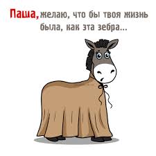 Открытка Открытки с именем Павел  - Открытка с ослом в юбке — заказать онлайн | Красивая открытка #12