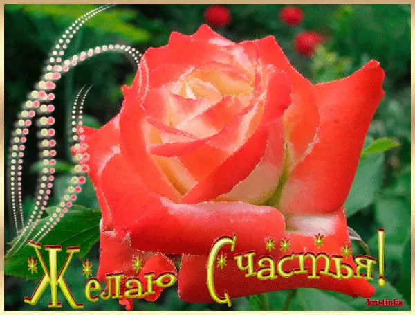 Открытка Открытки желаю счастья - Открытка: Красный цветок, надпись «Желаем счастья» | Красивая открытка #87