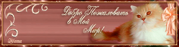 Открытка Добро пожаловать - Открытка с котенком: милая анимация | Красивая открытка #64