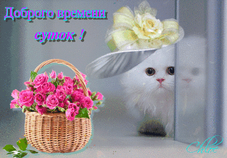 Открытка Доброго времени суток - Котенок в шляпе с цветами: открытка с милым котенком | Красивая открытка #23