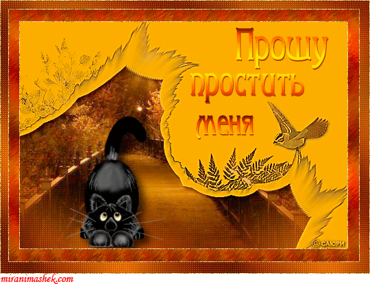 Открытка Прости - Открытка с черным котиком и птичкой | Красивая открытка #25