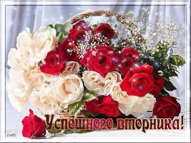 Открытка Открытки на вторник - Букет из красных и белых роз | Красивая открытка #116