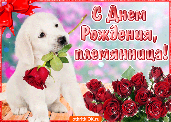 Открытка С днем рождения племяннице - Открытка с щенком и розами  С днем рождения | Красивая открытка #13