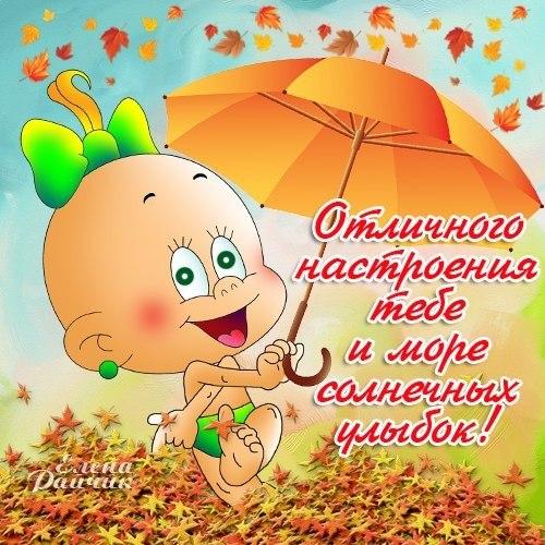 Открытка открытки с пожеланиями хорошего настроения  - Открытка с милым детенышем под зонтиком | Красивая открытка #14