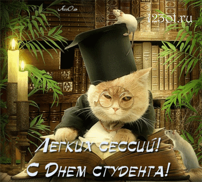 Открытка открытки на день студента  - Котенок в профессорской мантии с мышом - Открытка | Красивая открытка #112