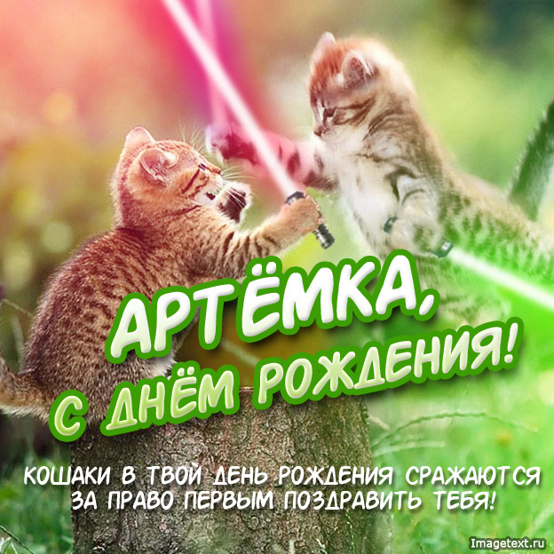 Открытка открытки с именем Артем - Два котенка целуются: открытка с днем рождения | Красивая открытка #14