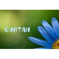 Открытка Открытки с именем Султан - Голубой цветок на зелёном фоне | Красивая открытка #9
