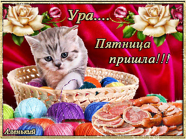 Открытка Пятница - Котенок в корзине с клубками: открытка с котиком | Красивая открытка #20