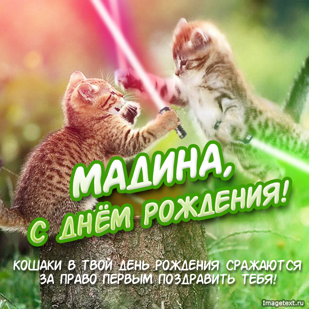 Открытка открытки с именем Мадина  - Открытка с котятами: С Днём Рождения! | Красивая открытка #17