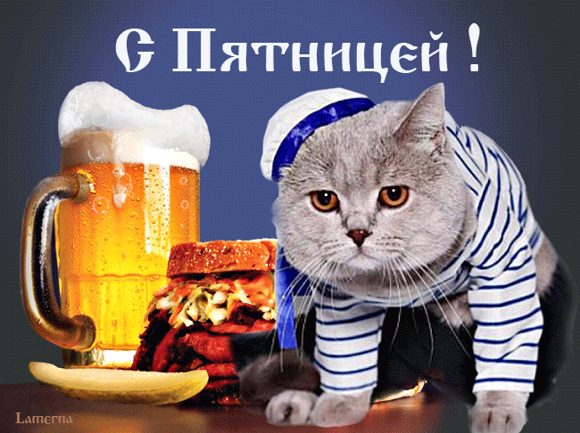 Открытка Открытки на пятницу - Кот в тельняшке с пивом и едой — открытка | Красивая открытка #14