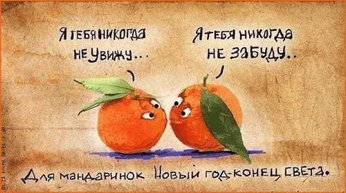 Открытка Прощания - Два мандарина: Новогоднее поздравление, апельсины | Красивая открытка #50