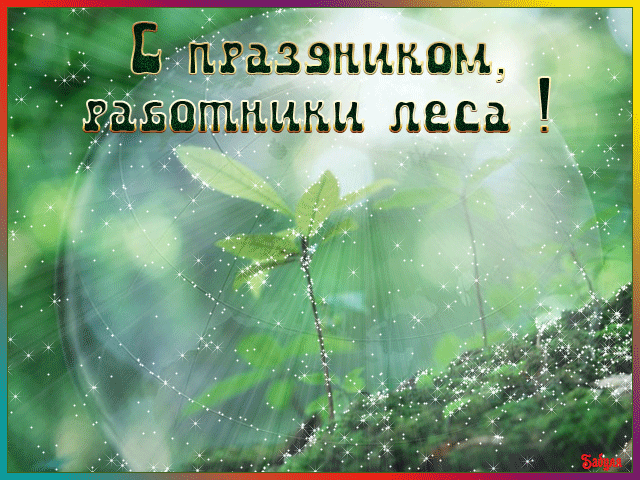 Открытка День работников леса - Открытка: Свежие веточки, искры, свет. | Красивая открытка #18