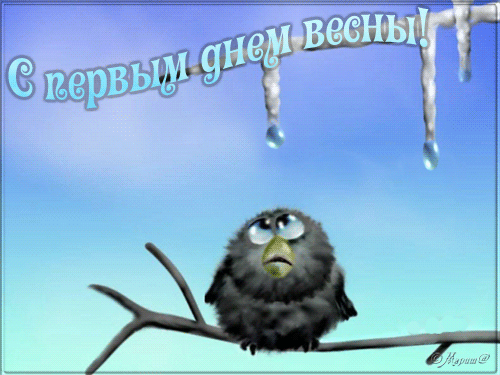 Открытка  С первым днем весны - Птенец на ветке под снегом: открытка | Красивая открытка #1