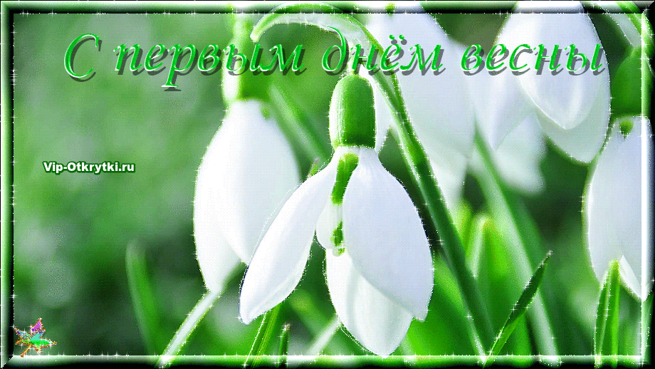 Открытка  С первым днем весны - Подснежники: открытка с цветами на весну | Красивая открытка #119
