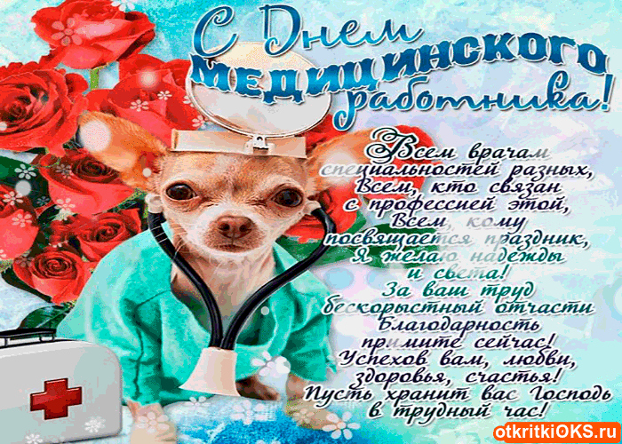 Открытка Открытки с днем медицинского работника - Открытка с щенком и цветами: День медработника | Красивая открытка #59