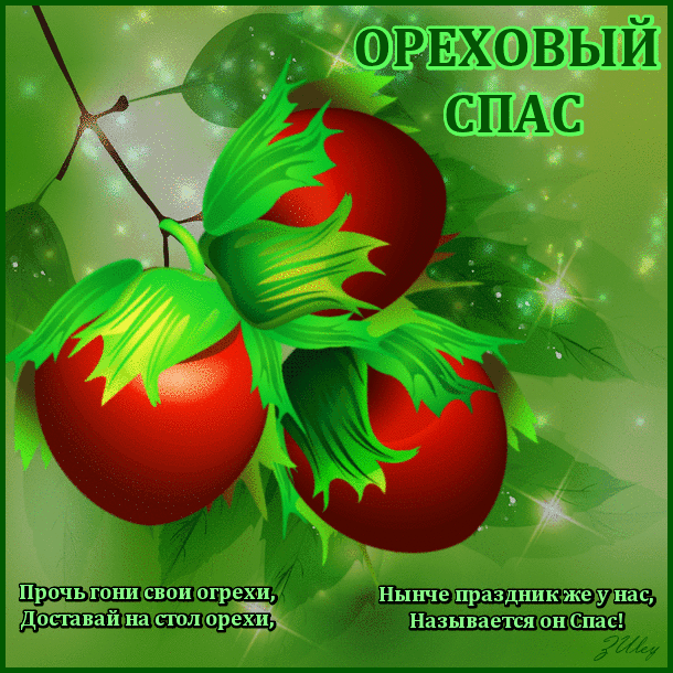 Открытка Ореховый спас. - Открытка с красными ягодами на ветке | Красивая открытка #14