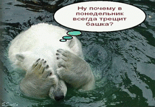 Открытка Открытки на понедельник - Белый медведь закрыл лицо лапами. | Красивая открытка #77