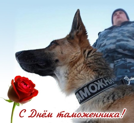 Открытка Открытки с днем таможенника - С Днём таможенника: Открытка с собакой и таможенником | Красивая открытка #6