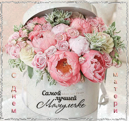 Открытка Открытки с днем матери - Открытка с розами в кружке: нежные цветы, подарочный набор | Красивая открытка #89