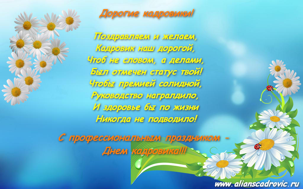 Открытка Открытки с днем кадровика - Открытка с ромашками  Поздравления и пожелания | Красивая открытка #20