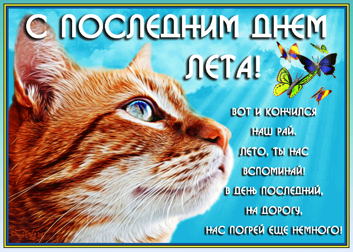 Открытка С последним днем лета! - Позитивный кот с бабочками: открытка на память о лете | Красивая открытка #4