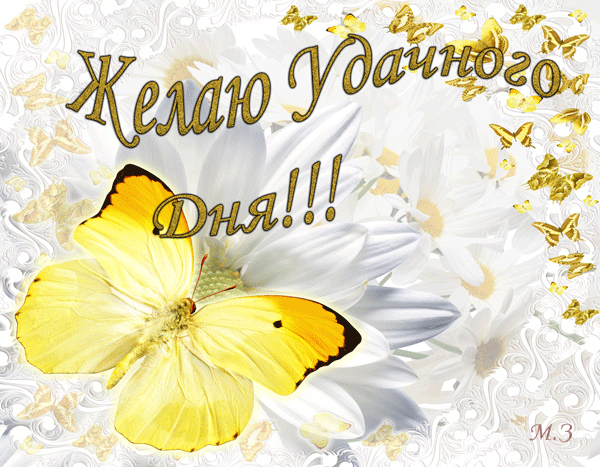 Открытка Открытки желаю удачи - Открытка с жёлтыми цветами и бабочками | Красивая открытка #43