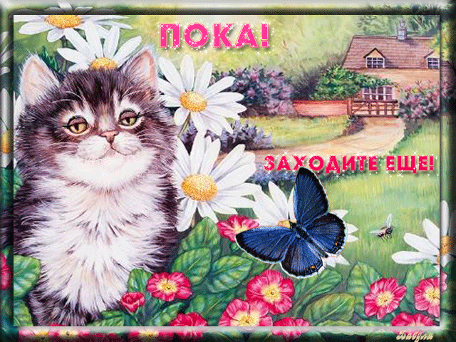 Открытка Открытки с прощаниями  - Открытка с котенком и цветами | Красивая открытка #7