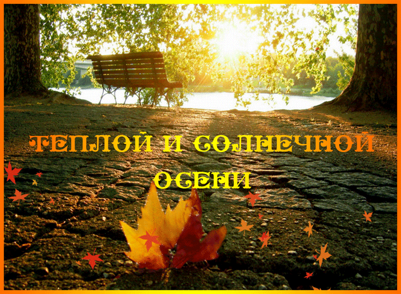 Открытка Открытки осенняя пора - Осенние открытки: парк, листья, солнце | Красивая открытка #155