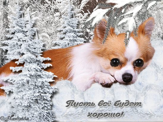 Открытка Все будет хорошо - Открытка с щенком на фоне снега | Красивая открытка #4