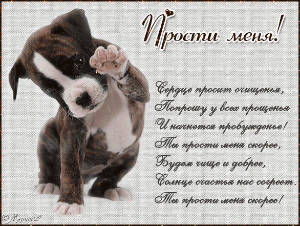 Открытка открытки с извинениями  - Открытка: Милый щенок просит прощения | Красивая открытка #182