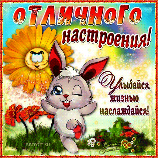 Открытка Открытки хорошего настроения - Зайка с цветами: Открытка с добрым утром | Красивая открытка #85