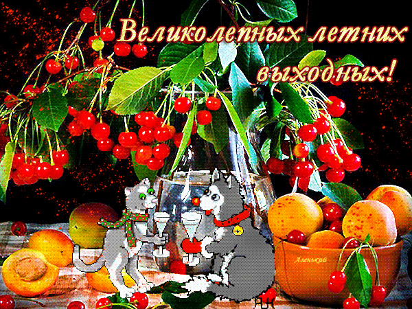 Открытка Открытки хороших выходных - Коты с фруктами: открытка с черешней и абрикосами | Красивая открытка #214