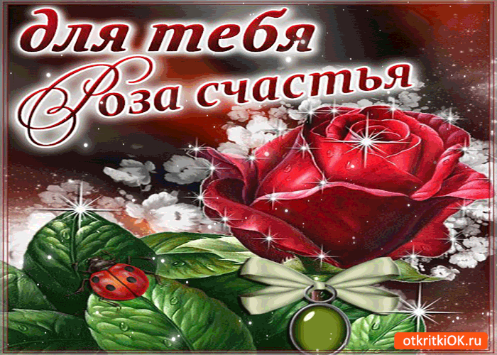 Открытка Для тебя - Красная роза в снегу: Красивая открытка с бабочкой | Красивая открытка #39