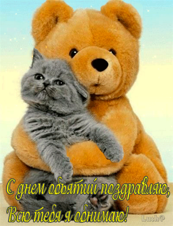 Открытка Открытки с днем объятий - Открытка с милым котенком: поздравления | Красивая открытка #95