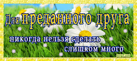 Открытка Открытки о дружбе - Открытка с ромашками и надписью "Для друга" | Красивая открытка #246