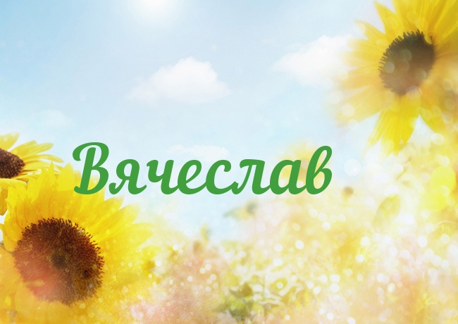 Открытка открытки с именем Вячеслав - Открытка с подсолнухами на голубом фоне | Красивая открытка #22