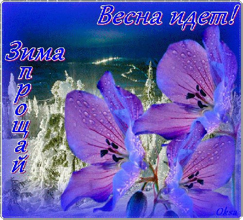 Открытка Открытки весенняя пора - Фиалки на снегу: поздравительная открытка | Красивая открытка #120