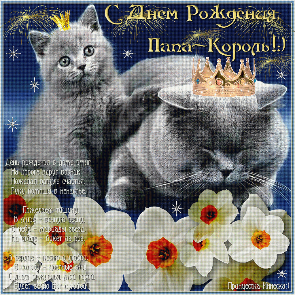 Открытка Открытки с Днем Рождения папе - Открытка с котенком в короне и цветами. | Красивая открытка #17